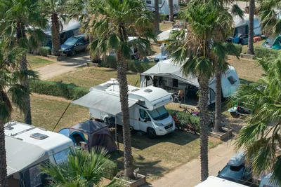 Camping Las Dunas - Standplätze unter Palmen und durch Hecken voneinander abgegrenzt