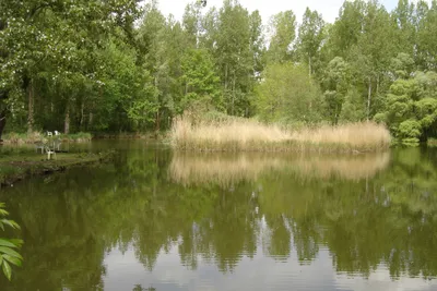 Le Cattiaux Camping