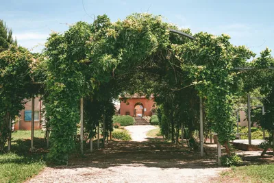Le Domaine De Claire Rive - Bild 4