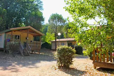 Zwei Camping-Bungalows mit Holzveranda, Treppen und Sitzbereich im Grünen, umgeben von Bäumen und Sträuchern.