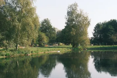 Ruhiger Camping-Teich mit Enten, umgeben von Bäumen und Wiese, im Hintergrund ein Spielplatz mit Schaukel.