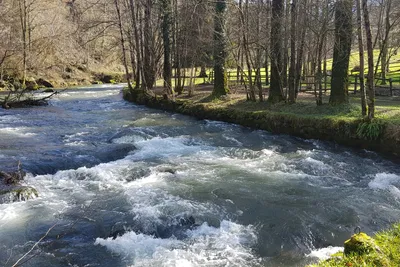 Camping Le Montagnou - der Fluss Alet auf dem Campingplatz