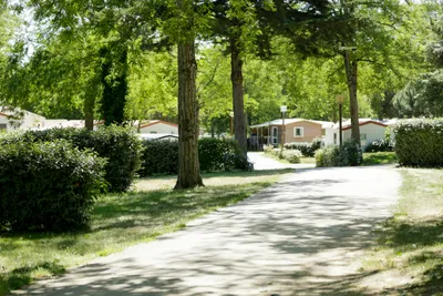 Camping Le Petit Rocher - Wege und Mobilheime 
