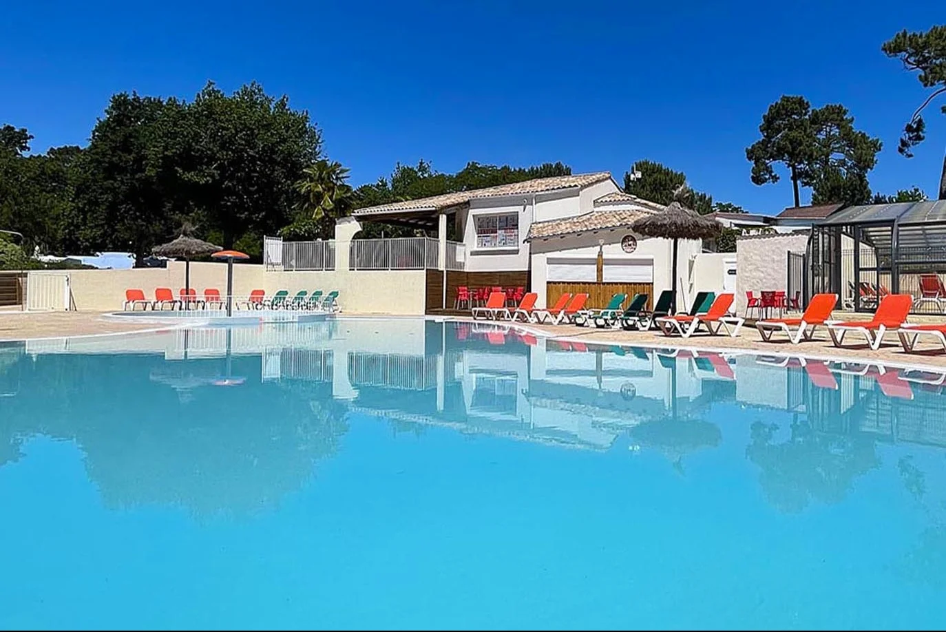 Les Pins de sel