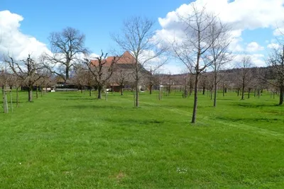 Camping Lindenhof  -  Wohnwagen- und Zeltstellplatz auf grüner Wiese auf dem Campingplatz