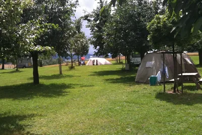 Camping Lindenhof  -  Wohnwagen- und Zeltstellplatz zwischen Bäumen auf dem Campingplatz