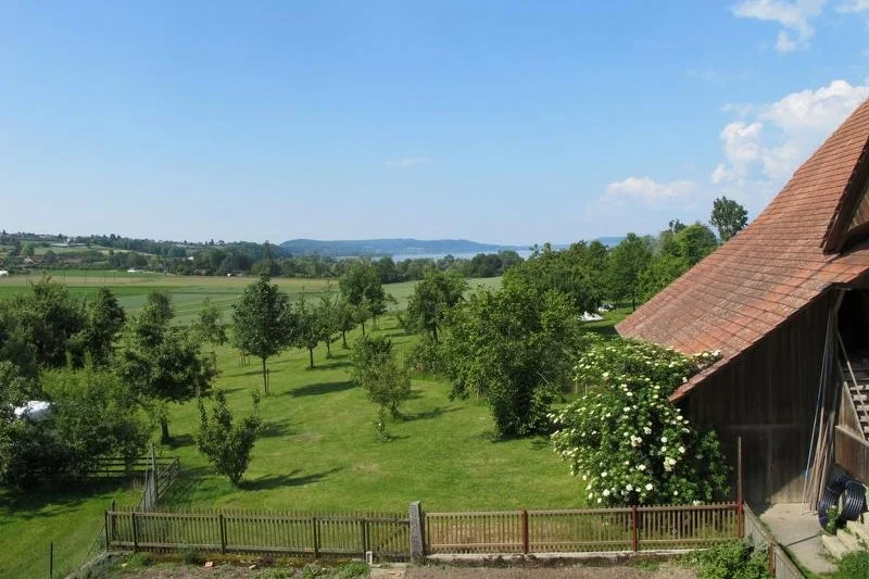 Lindenhof