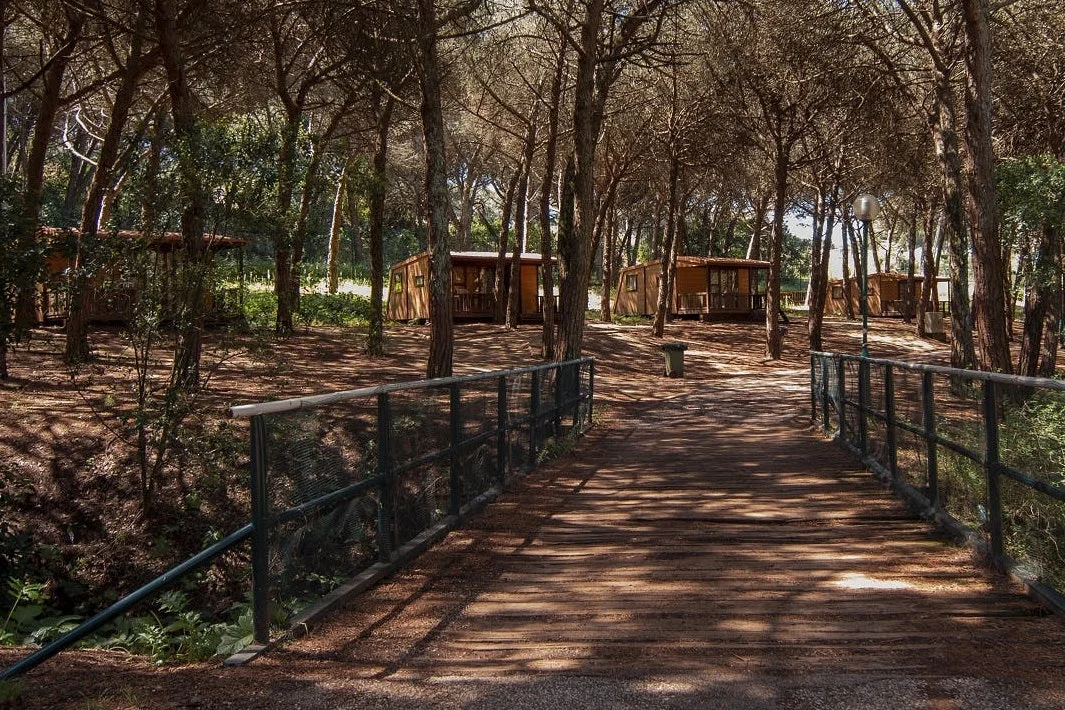 Lisboa Camping