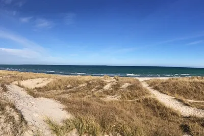 Møn Strandcamping - Ulvshale  -  Strand vom Campingplatz an der Ostsee