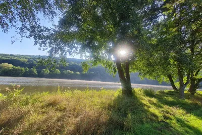 Main Glueck Camping - Bild 4