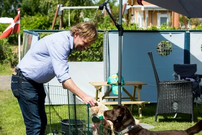 Marielyst Ny Camping - Hunde auf dem Wohnwagen- und Zeltstellplatz vom Campingplatz