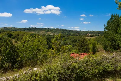 Camping Mas de Messier - Blick in die Umgebung des Campingplatzes