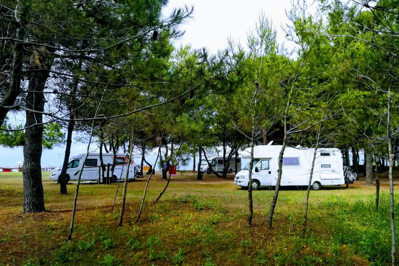 Mcm Camping & Resort