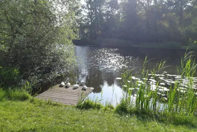 Minicamping ArcheryFarm - Blick auf den Bach am Campingplatz
