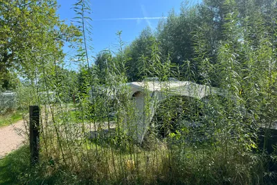 Minicamping d'Abeele - Standplätze im Grünen auf dem Campingplatz