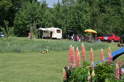 Minicamping De Bulte - Standplätze auf dem Campingplatz