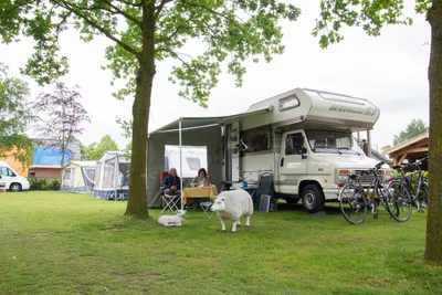 Minicamping De Landerijen - Blick auf die Standplätze auf der Wiese