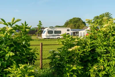 Minicamping Oisterwijk  Minicamping  Oisterwijk  - Stellplätze auf dem Campingplatz