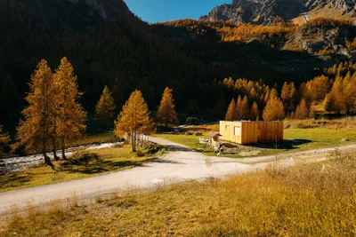 Camping Mistral  - Mobilheime auf dem Campingplatz