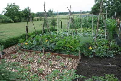 Camping Moongarden  - Garten auf dem Campingplatz