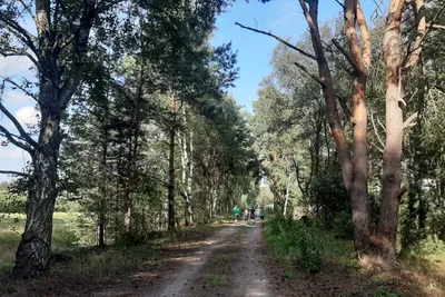 Camping Moorcamp - Wanderweg in der Nähe vom Campingplatz