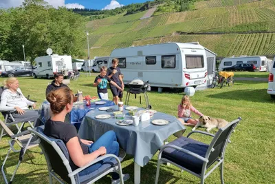 Camping Wolf - Familienstellplatz auf der Wiese