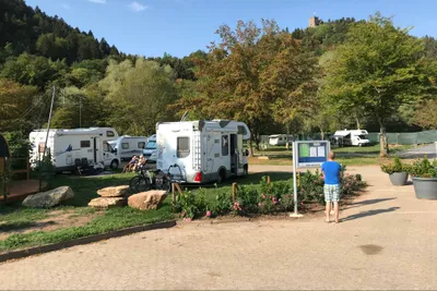 Moselcampingplatz Alf Bild 2