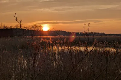 Nandalee Camping - Sonnenuntergang über dem See am Campingplatz