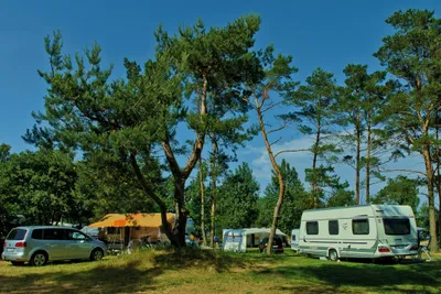 Naturcamp Pruchten - Wohnmobilstellplätze unter Bäumen auf dem Campingplatzgelände
