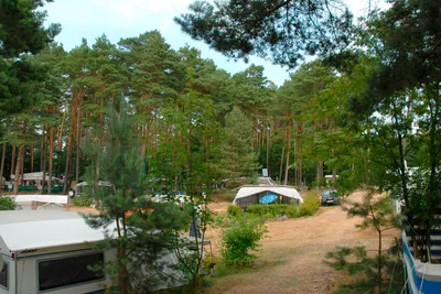 Campingplatz im Wald: Wohnwagen und Zelt zwischen Kiefern, Kiesweg und Auto am Stellplatz.