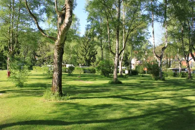 Naturcamping Braunsbach  -  Stellplatz vom Campingplatz auf grüner Wiese