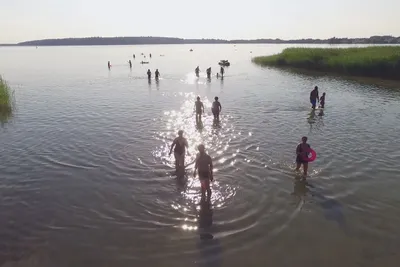 Naturcamping Malchow  -  Camper am Strand vom Campingplatz