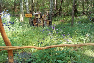 Naturcampingplatz am Olbasee Bild 2