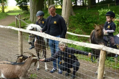 NaturCampingplatz Bernsteinreiter Barth - Streichelzoo auf dem Campingplatz