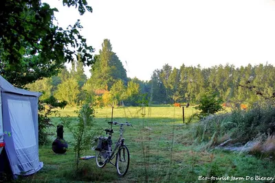 Natuurkampeerterrein De Biezen