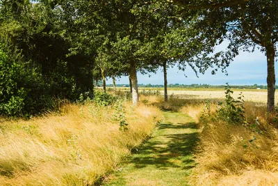 Natuurkampeerterrein Hoeve Batenburg