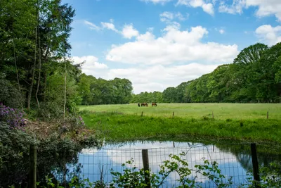 Natuurkampeerterrein Landgoed de Hoevens  - Blick in die Natur in der Umgebung des Campingplatzes