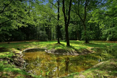 Natuurkampeerterrein Mariahoeve