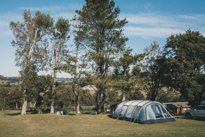 Camping Newlands  - Zeltwiese