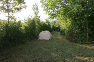 Camping Noordernieuwland - Zeltstellplätze im Grünen auf dem Campingplatz -