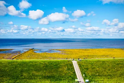 Nordsee-Camp Norddeich  - Luftaufnahme des Campingplatzes