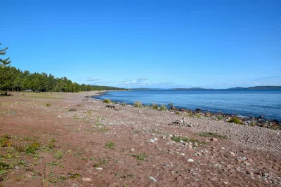 Norrfällsvikens Camping - Strand