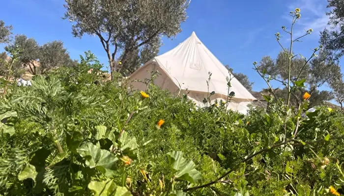 Oasis Al-Hamam