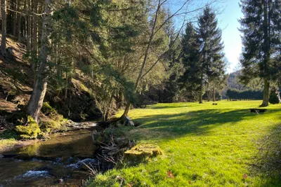 Oberprether Mühle - Zeltplätze am kleinen Bach am Rande des Waldes