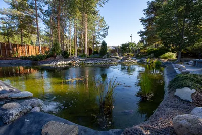 Camping Odden - Teich.jpg