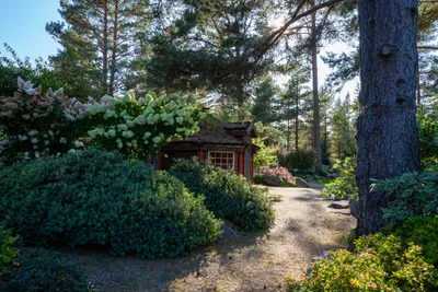 Camping Odden - Mietunterkuenfte - 4.jpg