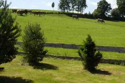Camping Öschlesee