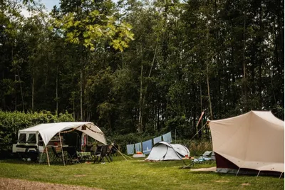 Oetdoor in de Achterhoek - Blick auf die Standplätze auf der Wiese