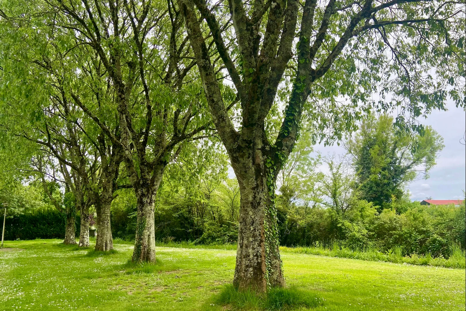 Onlycamp Camping Le Paradis