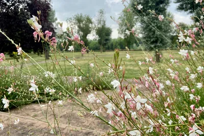 Onlycamp Les Bords De Vienne